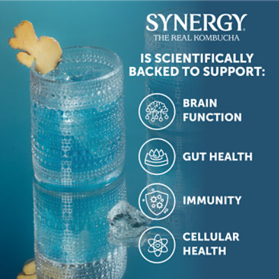 Gts Kombucha Enlightened Sacred Life - 16 Fl. Oz. - Image 3