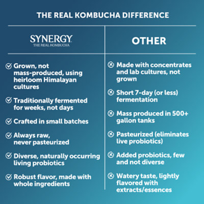 Gts Kombucha Enlightened Sacred Life - 16 Fl. Oz. - Image 4