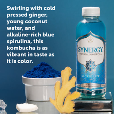 Gts Kombucha Enlightened Sacred Life - 16 Fl. Oz. - Image 2