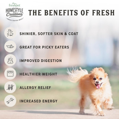 Freshpet Homestyle Creations Beef Patty Fresh Dog Food 2 Count - 8 Oz - Image 4