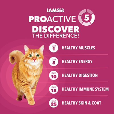IAMS Proactive Health Chicken Adult Urinary Tract Healthy Dry Cat Food - 3.5 Lb - Image 5