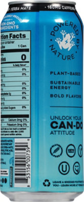 Yerbae Yerba Mate Zero Platform Triple Berry - 16 Oz - Image 6