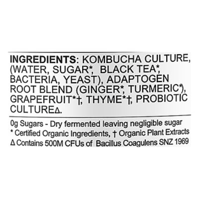 Flying Embers Grapefruit Thyme Organic Hard Kombucha In Cans - 16 Fl. Oz. - Image 5