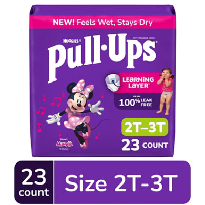 Pull-Ups Potty Training Underwear for Girls Size 2T to 3T - 23 Count