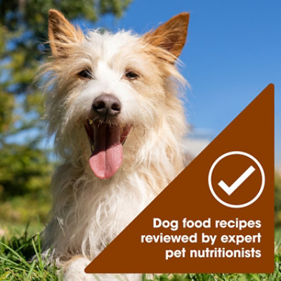 Natures Recipe Grain Free Dog Food Chicken Variety Pack - 12-2.75 Oz - Image 4