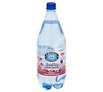 Crystal Geyser Spring Water Sparkling Mixed Berry - 1.25 Liter