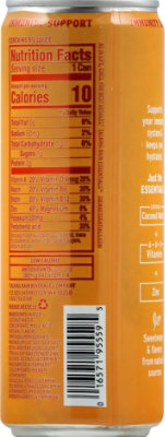 Talking Rain Essentials Pineapple Mango Can - 12 Fl. Oz. - Image 6