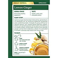 Trad Medicinals Tea Lemon Ginger Org - 16 Count - Image 4