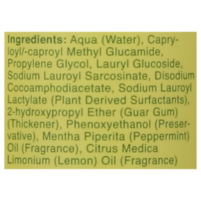 Rebel Green Dish Peppermint Lemon Soap - 16 Oz - Image 4