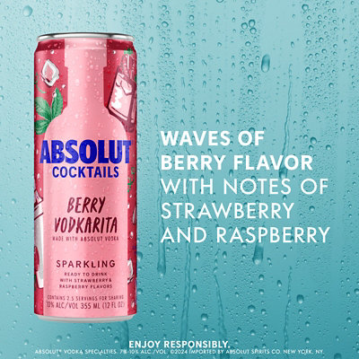 Absolut Ready To Drink Berry & Citrus Vodkarita - 4-355 Ml - Image 4