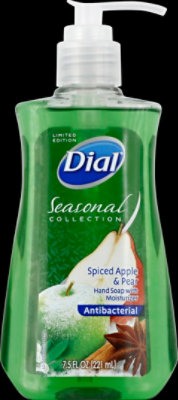 Dial winter frost hand soap sale
