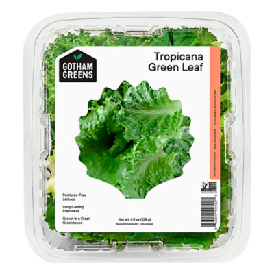 Gotham Greens Lettuce Tropicana Green Leaf - 4.5 Oz - Image 2