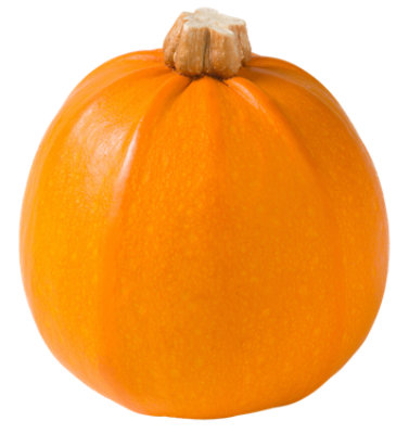 Wee Bee Little Miniature Pumpkins - Weight Between 0.5-1 Lb - Image 1