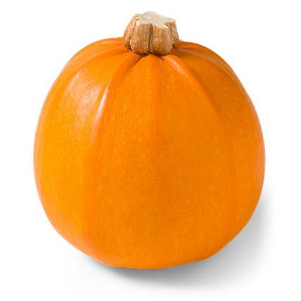 Wee Bee Little Miniature Pumpkins - Weight Between 0.5-1 Lb - Image 1
