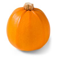 Wee Bee Little Miniature Pumpkins - Weight Between 0.5-1 Lb - Image 1