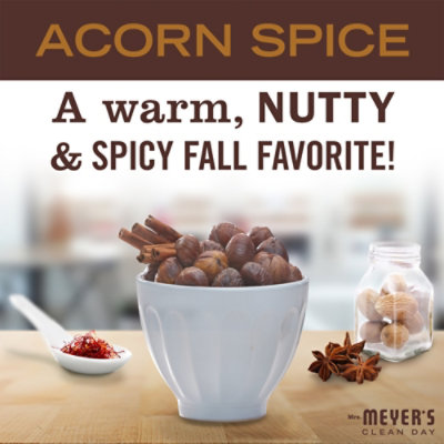 Mrs. Meyers Hand Soap Acorn Spice - 12.5 Fl. Oz. - Image 3