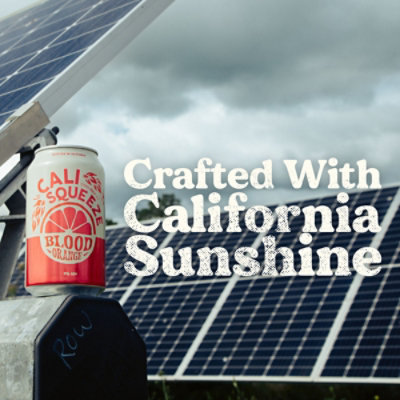 Cali-Squeeze Blood Orange Hefeweizen  Beer - 6-12 Fl. Oz. - Image 5
