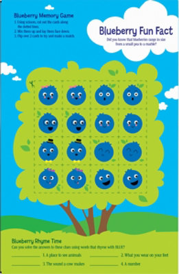 Cheerios Blueberry Cereal - 14.2 Oz - Image 6