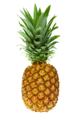 Gold Royal Hawaiian Pineapple - Each - pavilions