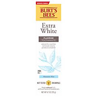 Burt's Bees Extra White Mountain Mint Fluoride Toothpaste 4.7 oz - Image 1