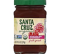 Santa Cruz Organic Fruit Spread Seedless Red Raspberry - 9.5 Oz