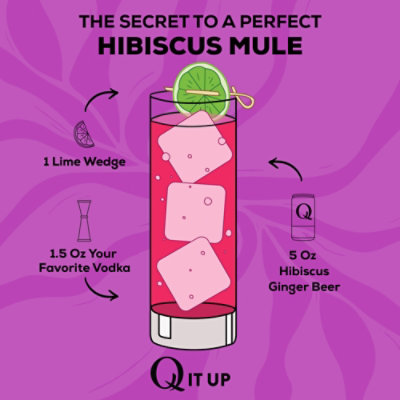 Q Tonic Beer Hibiscus Ginger - 4-7.5Fl. Oz. - Image 5