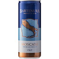 Bartenura Moscato In The Cans - 4-250 Ml - Image 1
