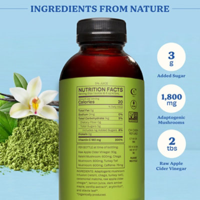 Alive Mood + Mind Mindful Matcha Cream - 16 Fl. Oz. - Image 2