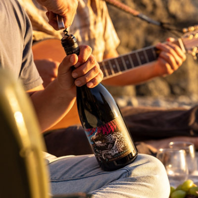 Juggernaut Russian River Valley Pinot Noir Wine - 750 Ml - Image 4