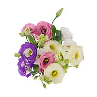 Debi Lilly Lisianthus Mix Cb 5st - Each - Image 1