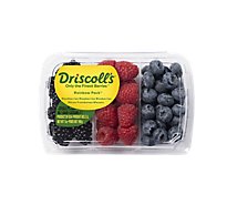 Driscoll Berries Rainbow Pack - 7 Oz