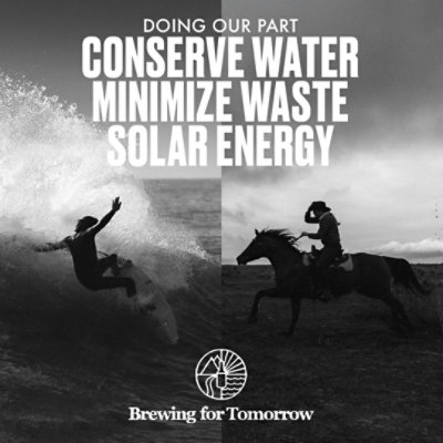 Firestone Walker 805 Cerveza Beer Lager Bottles - 6-12 Fl. Oz. - Image 5