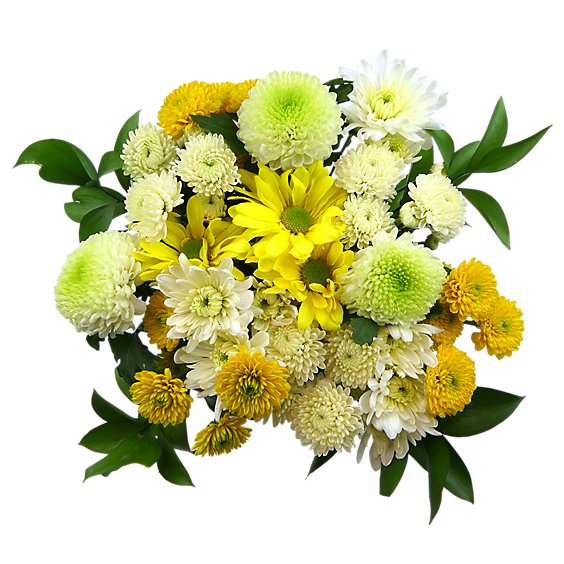 Debi Lily Iconic Mix Bouquet - .8 Lb