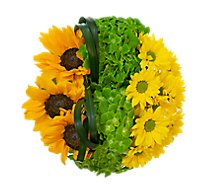 Debi Lilly Sunflower Blossom - Each