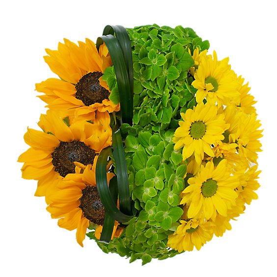 Debi Lilly Sunflower Blossom - Each