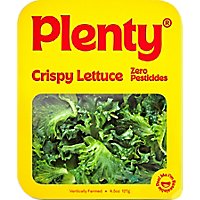 Plenty Crispy Lettuce - 4.5 Oz. - Image 2