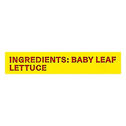 Plenty Crispy Lettuce - 4.5 Oz. - Image 4