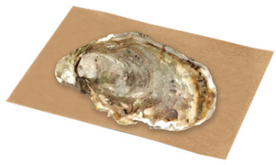 undefined - Image 1