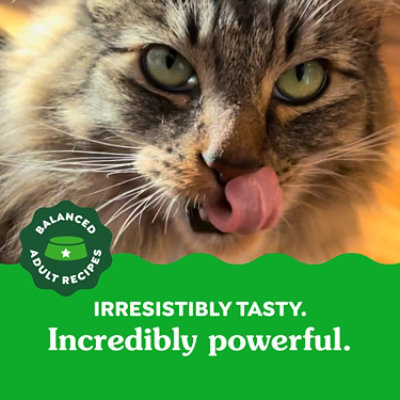 Feline Greenies Savory Salmon Flavor Adult Natural Dental Care Cat Treats - 4.6 Oz - Image 4