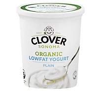Clover Sonoma Plain Lowfat Yogurt - 32 OZ