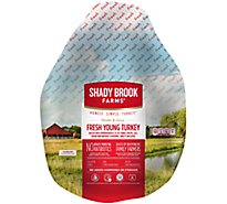 Shady Brook Farms Whole Turkey Fresh - Weight Between 16-20 Lb
