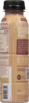 Rebbl Organic Hazelnut Chocolate Protein Drink - 12 Fl. Oz. - Image 5