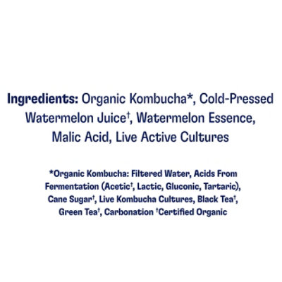 Health Ade Kombucha Watermelon - 16 FZ - Image 5