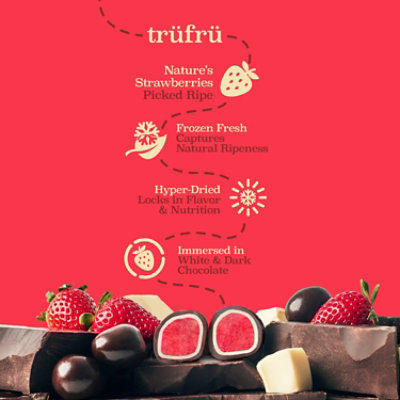 Tru Fru Indulge On The Go Choc Drk Strwbry Frz Drd - 4.2 OZ - Image 4