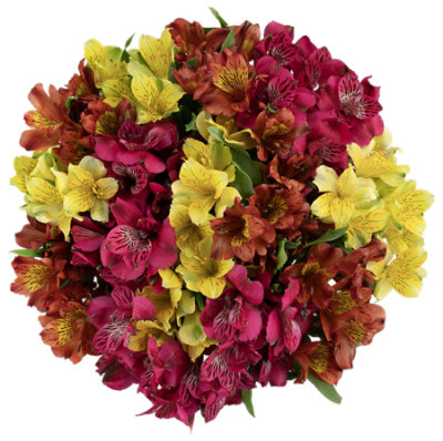 Alstro Big Bunch Assorted - Each - Image 1