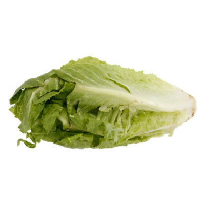 Lettuce Romaine Red Leaf - 24 LB
