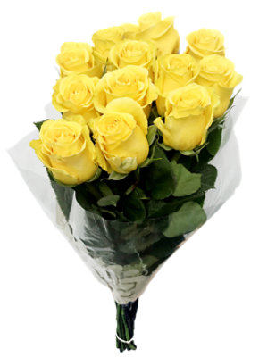 Overjoyed Boutique Rose Yellow 12St Wet Pack - Each - Image 1