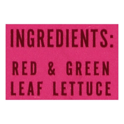 Little Leaf Farms Red Green Leaf Lettuce - 4 OZ - Image 4