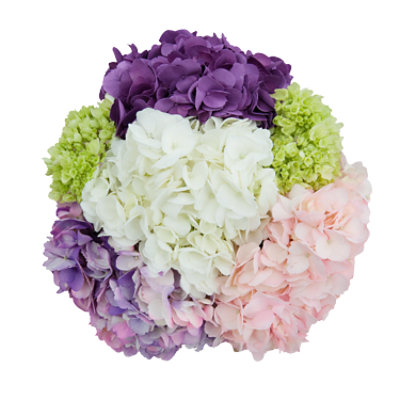 Hydrangea Medley - Each - Image 1