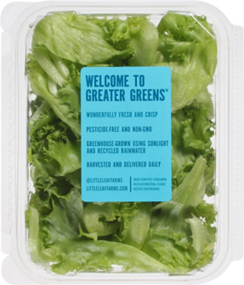 Little Leaf Farms Crispy Green Leaf Lettuce - 4 Oz - Image 5